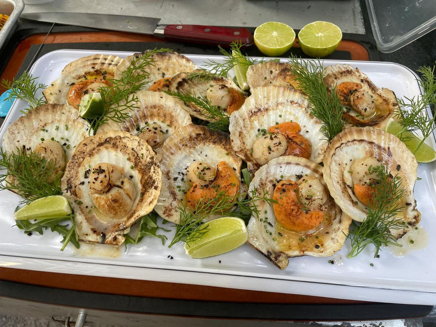 Grilled Scallop for BBQ Party